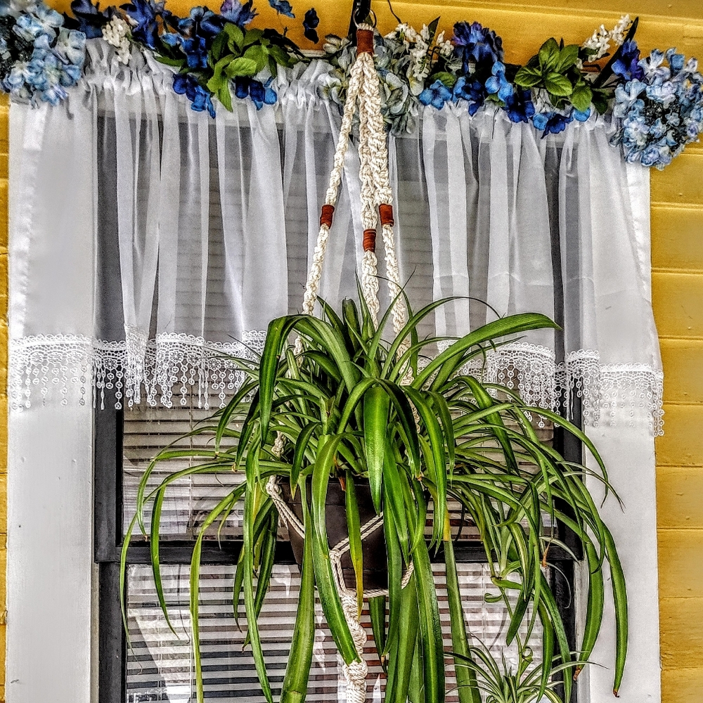 Natural Cotton & Suede Boho Plant Hanger